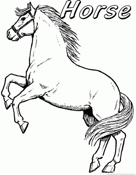 Horses Coloring Pages Of Animals Coloring Pages