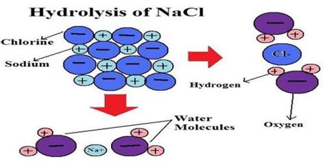 Salt Hydrolysis Qs Study