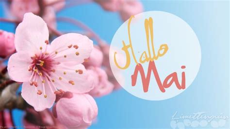 Mai Freebie „hallo Mai“ Hallo Mai Monatsnamen Und Jahreszeiten Monate