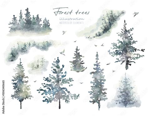 Watercolor Hand Drawn Forest Set With Delicate Illustration Of