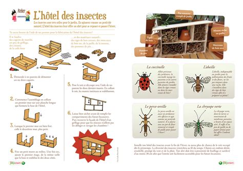 Svt Lorris Construire Un Hôtel à Insectes Hôtel à Insectes