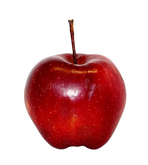 Apple Isolated On White Background Stock Image Image Of Organic
