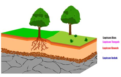 Lapisan tanah yang terdapat pada kerak bumi yang terdiri dari beberapa lapisan untuk membentuk tanah menjadi sempurna. Animasi Lapisan Tanah | BLOG SAINS