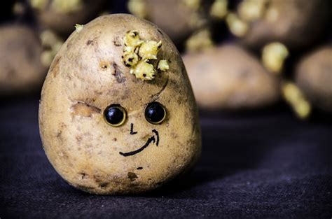 Cheerful Face On Potatoes Stock Photo Download Image Now Istock