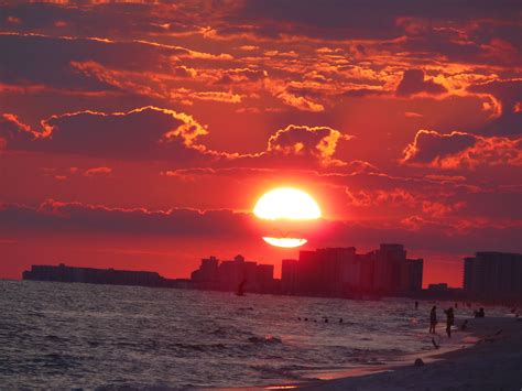 Seagull In The Middle Of Sunset In Destin Fl Taken On The Beach Of