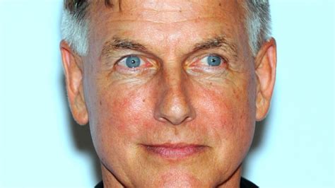 What You Didnt Know Mark Harmon Did Before Ncis