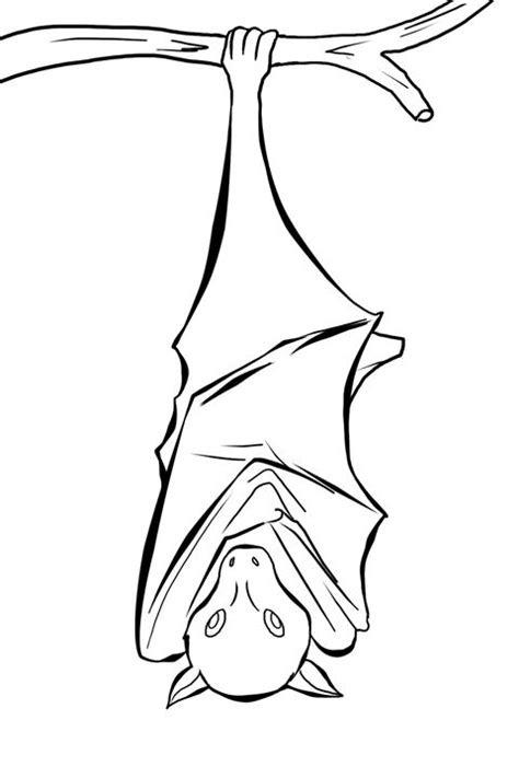 coloring pages hanging bat google search coloring pages pinterest coloring coloring