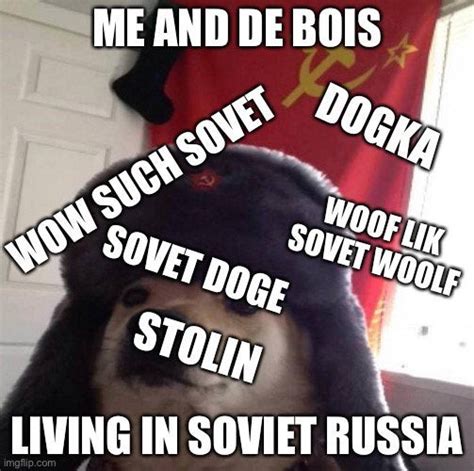 Russian Doge Rdoge