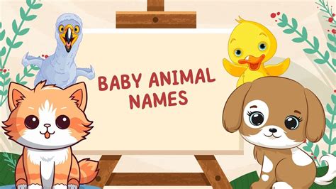 Learn Baby Animals Names Baby Animals For Kids Toddler Trailblazers