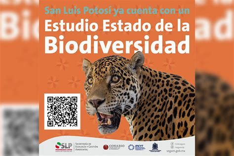 Slp Es El Quinto Lugar Nacional En Diversidad Biológica Rio19rio19