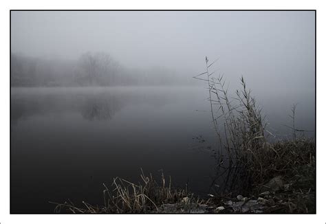 Foggy Morning On The Rivers Bank Dyxum