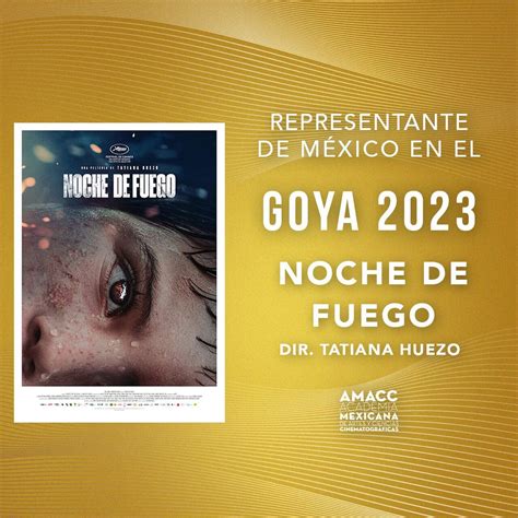 Noche De Fuego De Tatiana Huezo Es Nominada A Los Premios Goya 2023