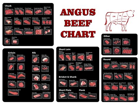 Beef Cuts Chart Made Easy My Xxx Hot Girl