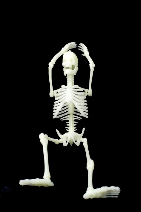 Free Stock Photo 2990-relaxed skeleton | freeimageslive