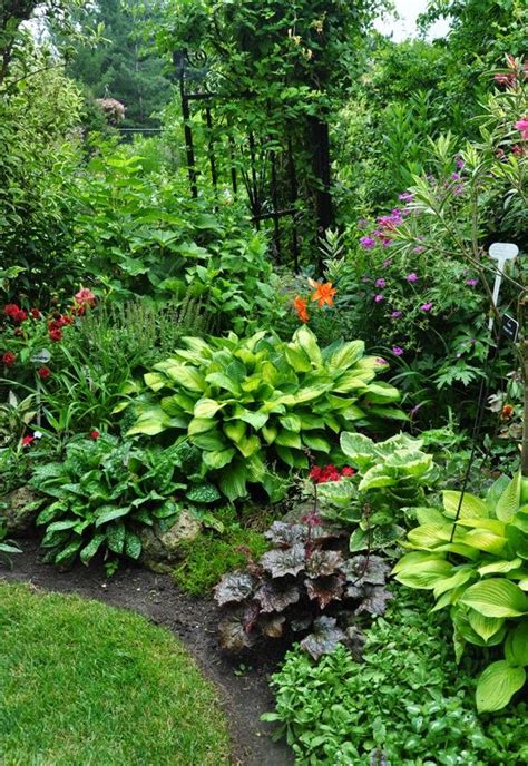 A Mix Of Perennials For The Shade Including Several Hosta A Brunnera