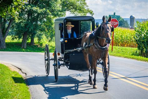 📅 The Best Time To Visit Amish Country Pa In 2023