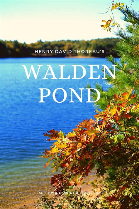Visiting Walden Pond In Fall Walden Pond Pond Learning To Be Alone