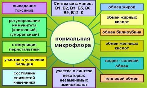 Диета и микрофлора кишечника Микрофлора желудочно-кишечного тракта Микрофлора желудочно-кишечного тракта Диета и микрофлора кишечника