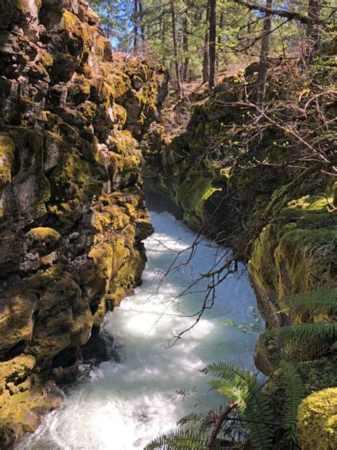 Rogue River Siskiyou National Forest Upper Rogue River Wild And Scenic