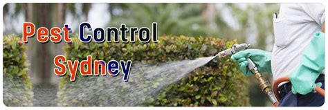 Get The Best Pest Control Services In Sydney Pestcontrolsydney