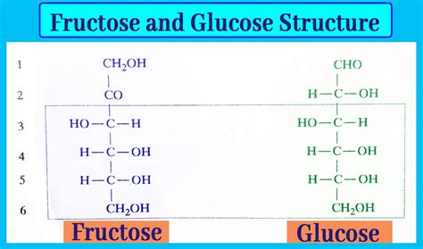 Converts Sucrose To A Mixture Of Fructose And Glucose