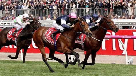 Go Big Or Go Home Melbourne Cup Roughies To Tip 2019 So Perth