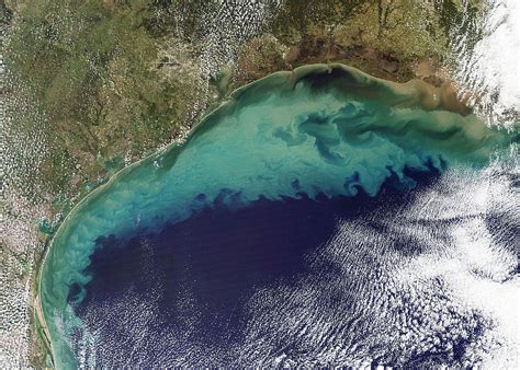 This Years Dead Zone In The Gulf Could Be One Of The Largest On Record