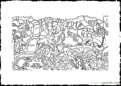 Rainforest Coloring Pages To Download And Print For Free