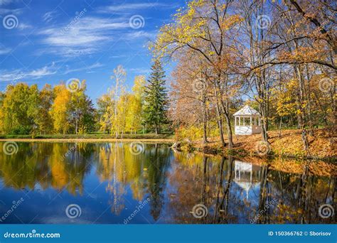 Sunny Autumn In The Park Over Lake Stock Photo Image Of Beauty