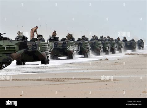 Us Marine Corps Amphibious Assault Vehicles Move Into Position After
