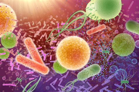 What Do You Know About Superbugs Mayo Clinic News Network