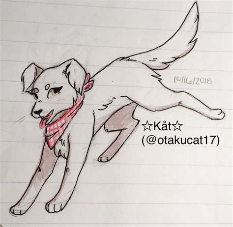 Ree A Doggo I Drew At School 0💗💞kåt Otakucat Warrior Cat