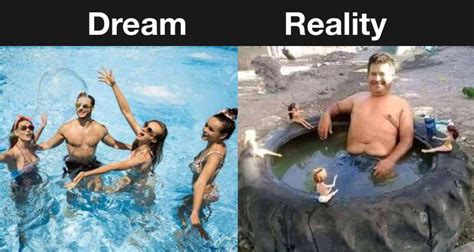 dream vs reality meme chameleon memes
