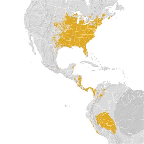 Chimney Swift Range Map Post Breeding Migration Ebird Status And