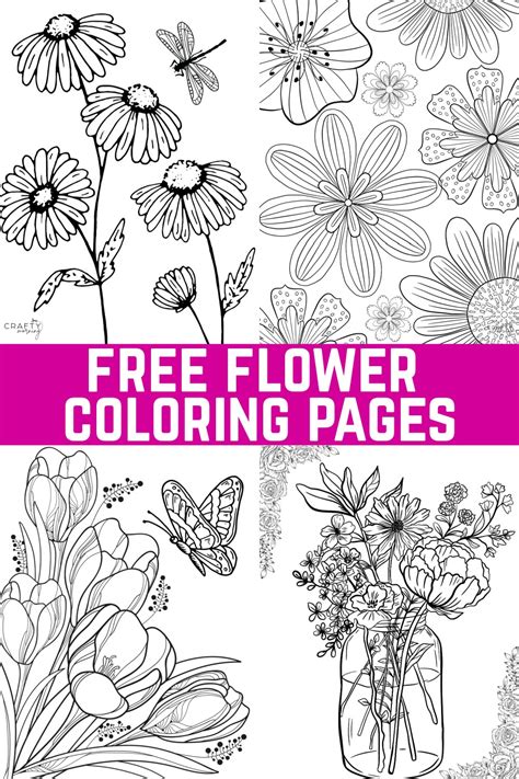 Flower Coloring Pages To Print Crafty Morning Coloring Library
