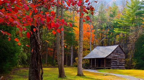 Cabin In Autumn Forest 4k Ultra Hd Wallpaper Hintergrund 3840x2160