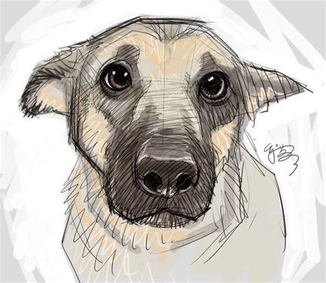 Draw Me Animal Drawings Animal Sketches Dog Drawing