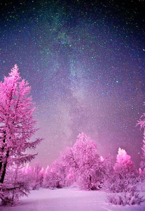 Night Sky Lights ~ Stunning Nature