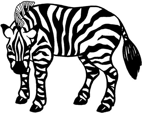 Free Zebra Coloring Pages