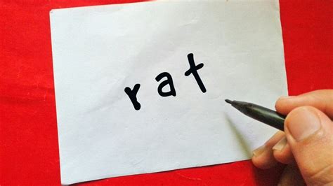 Very Easy How To Turn Words Rat Into A Cartoon Rat Drawing