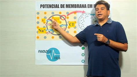 O Que Potencial De Repouso