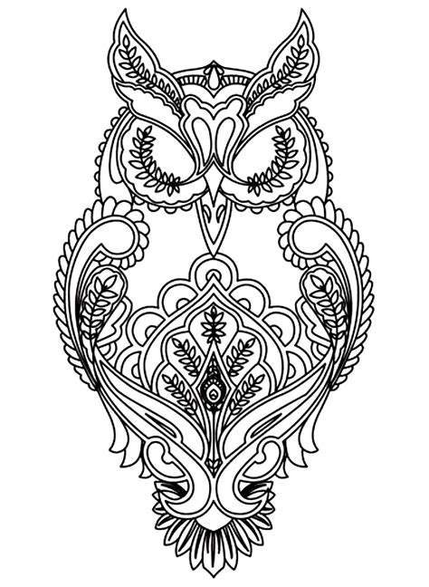 Owl Owls Adult Coloring Pages