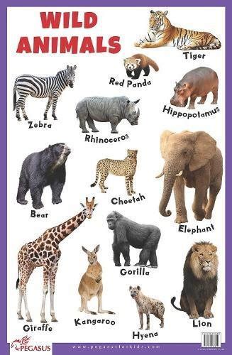 Wild Animals Educational Chart Pegasus Amazones Libros