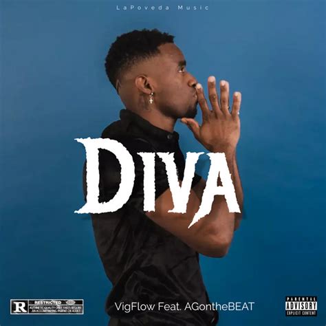 Diva Single De Vig Flow Spotify