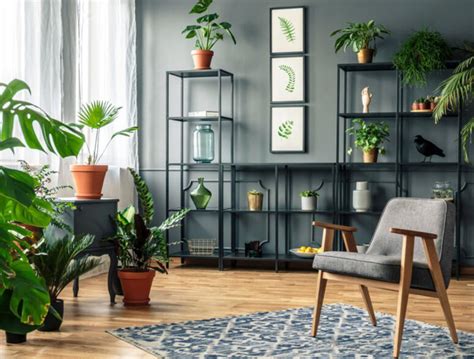 Decorate Living Room With Indoor Plants 10 Beautiful Ways To Decorate