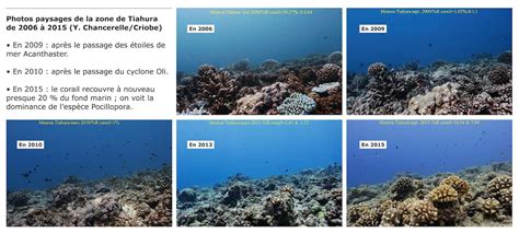 Trente Années Dobservations Pour Mieux Comprendre Les Récifs Coralliens