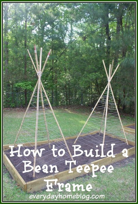 How To Build A Bean Teepee Frame The Everyday Home Bean Pole