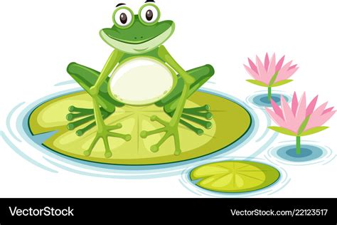 Happy Frog On Lily Pad Royalty Free Vector Image