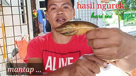 NGUREK BELUT SAMBIL MANCING IKAN MANTAP YouTube