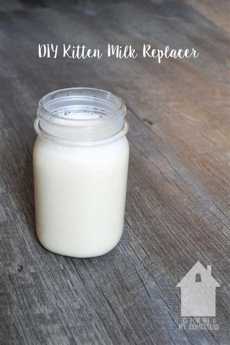 Diy Kitten Milk Replacer Recipe As For Me And My Homestead